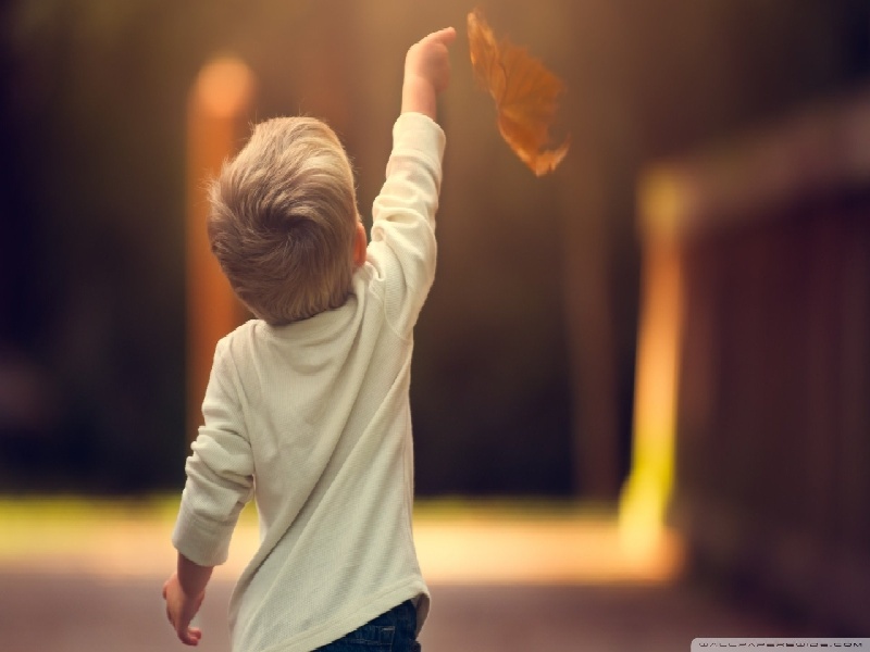 如何使用试管刷，婚前做试管检查